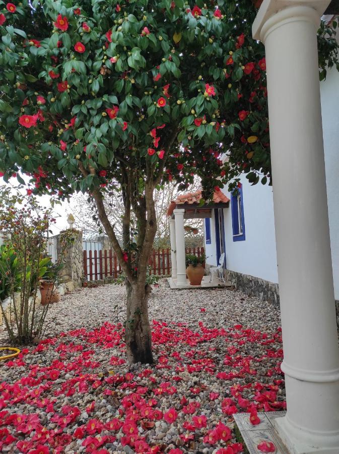 A Pousada Fazenda Do Marante Tomar Exterior foto
