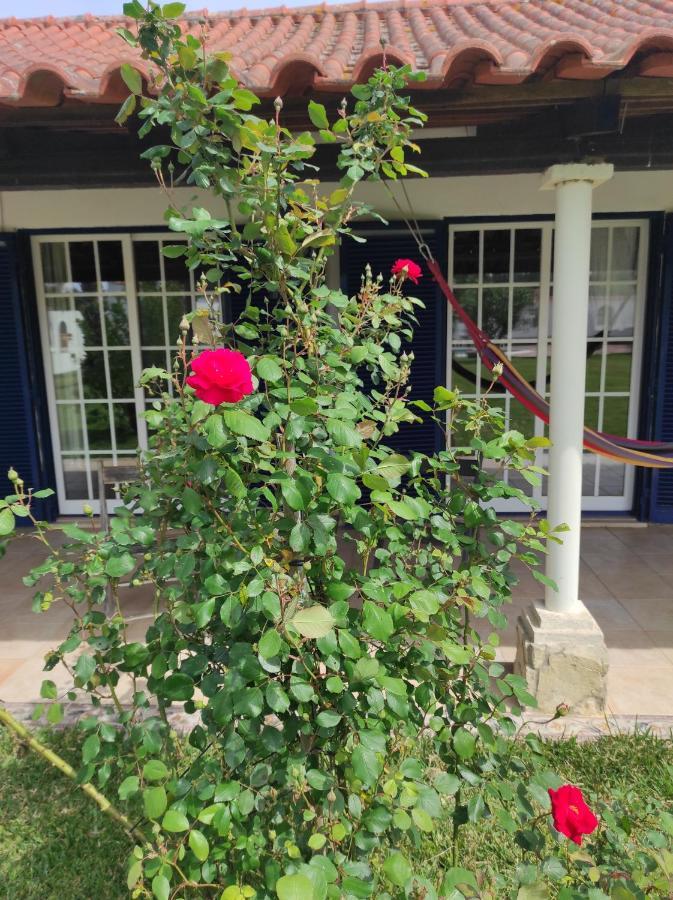 A Pousada Fazenda Do Marante Tomar Exterior foto
